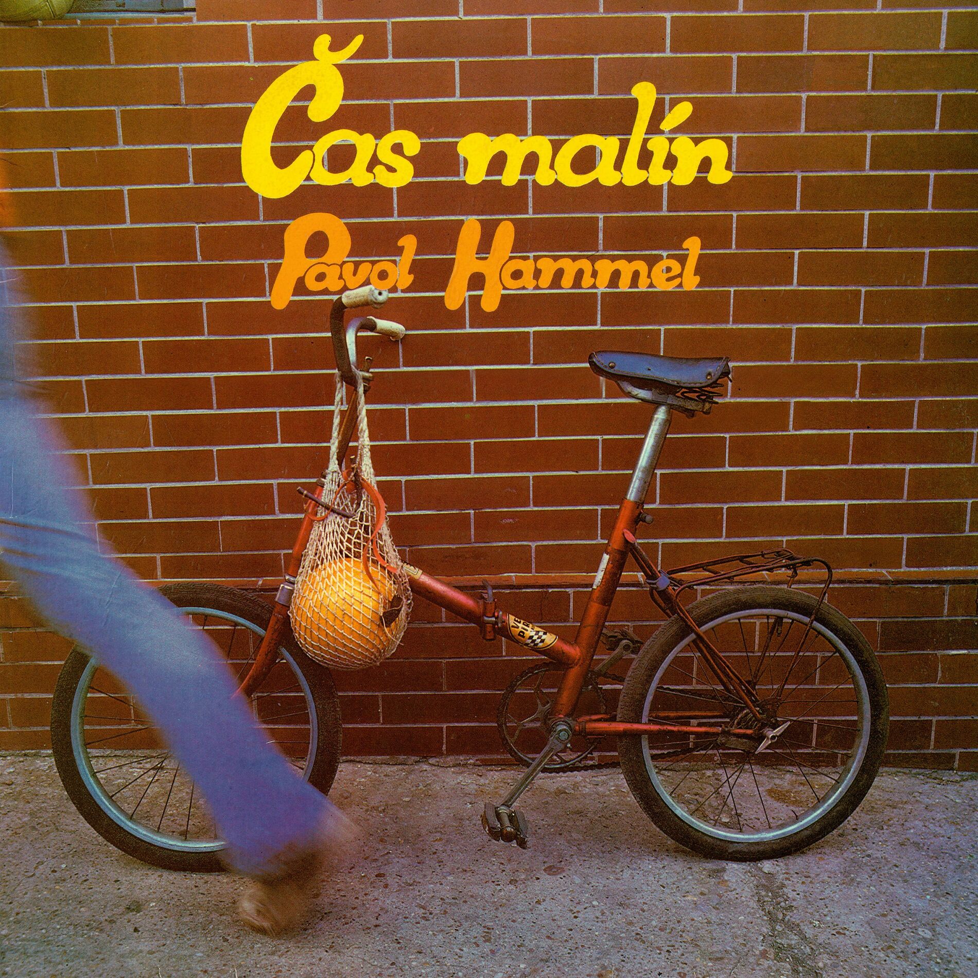 Album cover of ZRPŠ