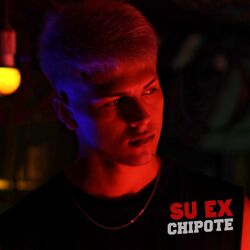 Cover of Su Ex