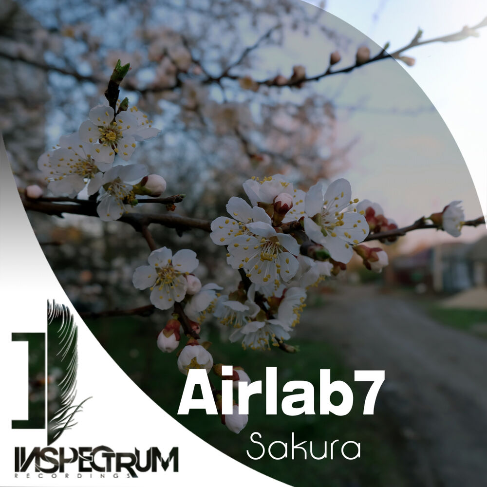 Picture of Sakura