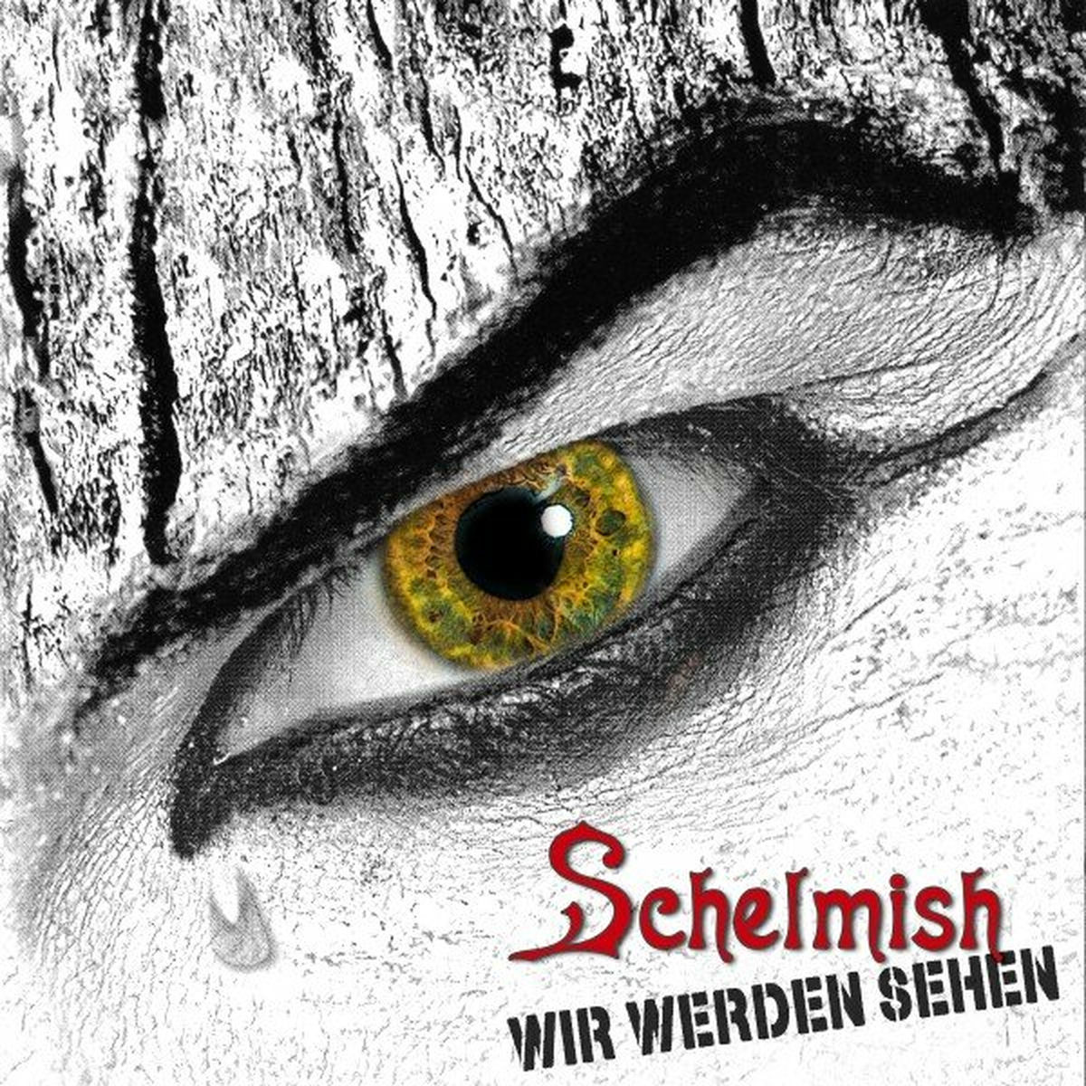 Album cover of Wir werden sehen