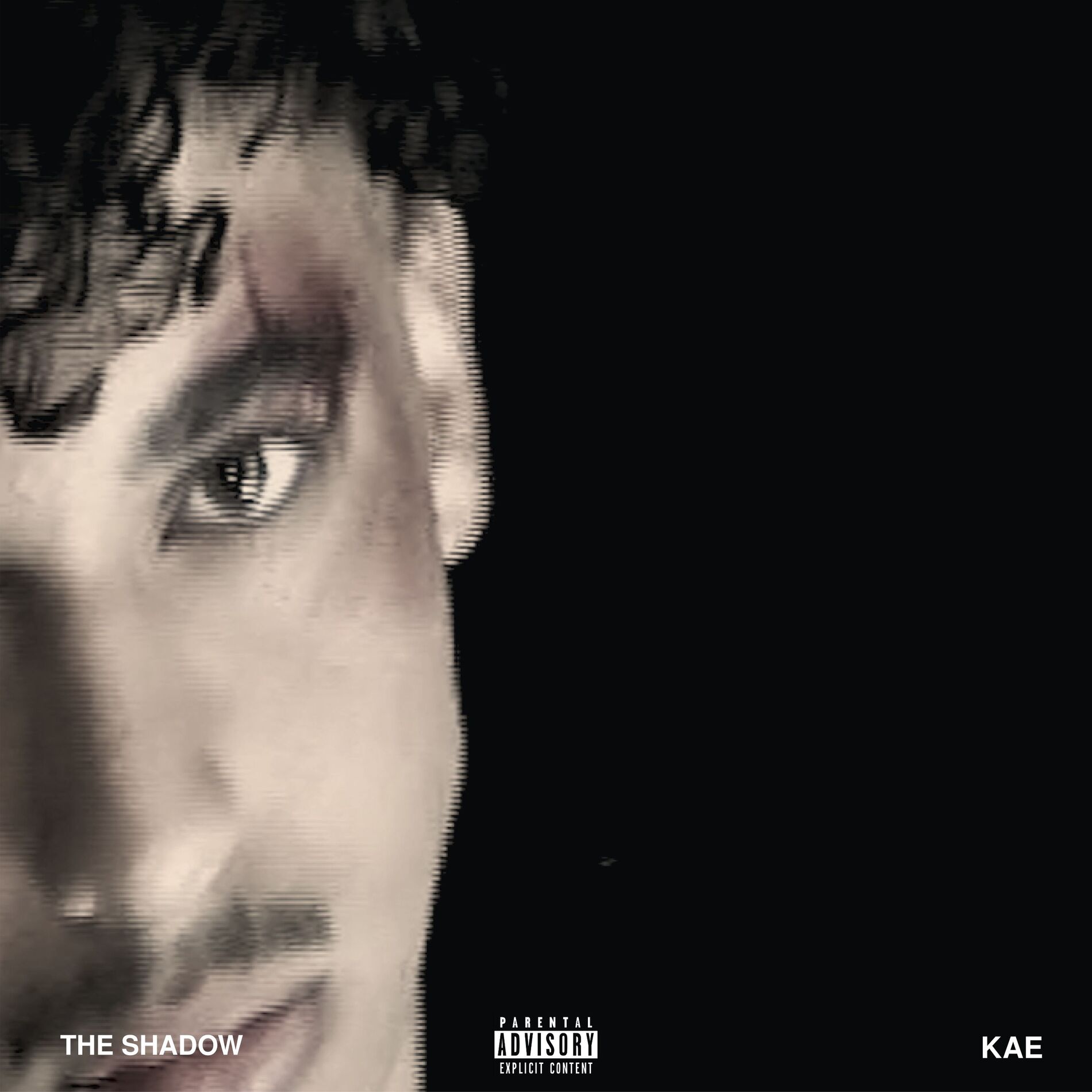 Album cover of THE SHADOW
