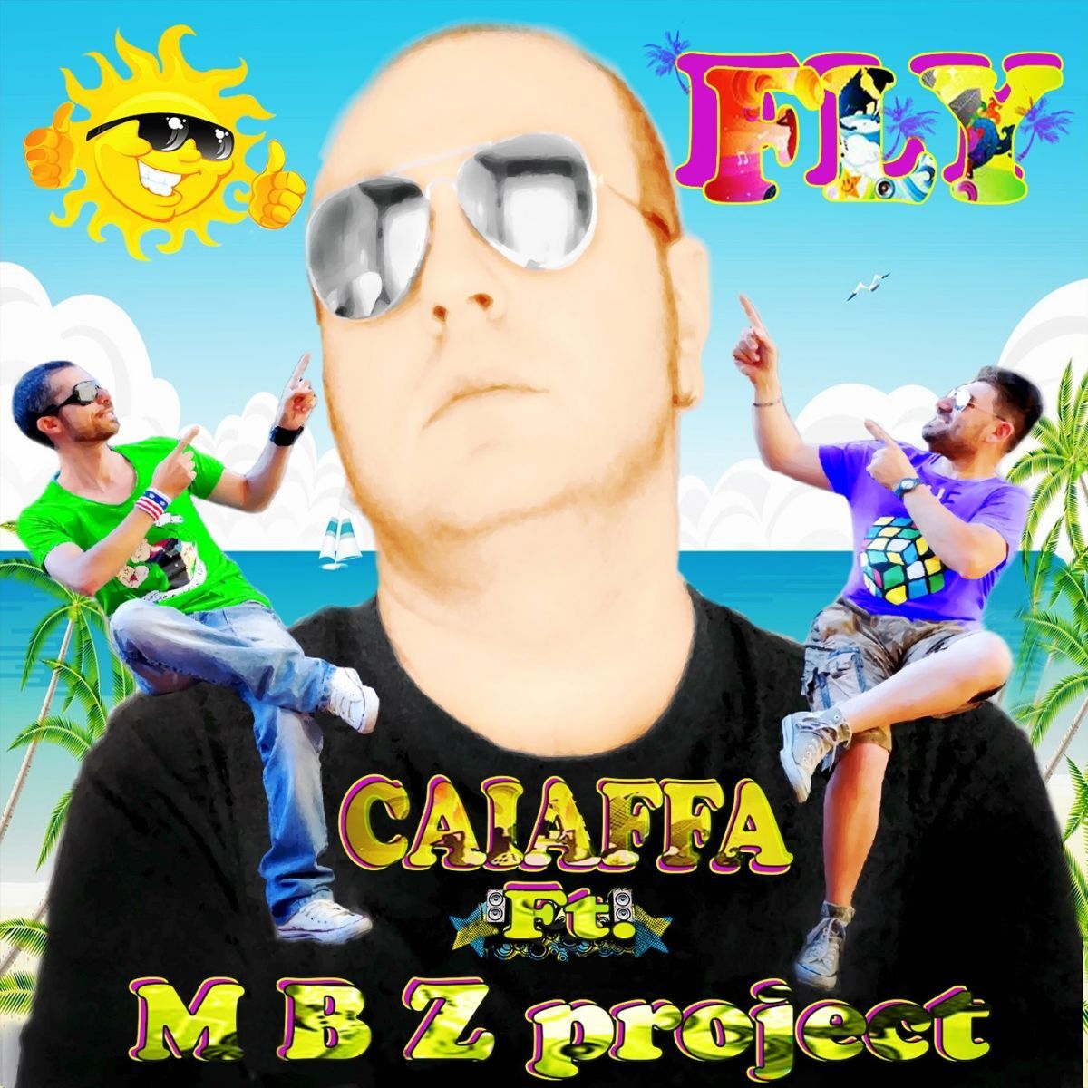 Album cover of Fly
