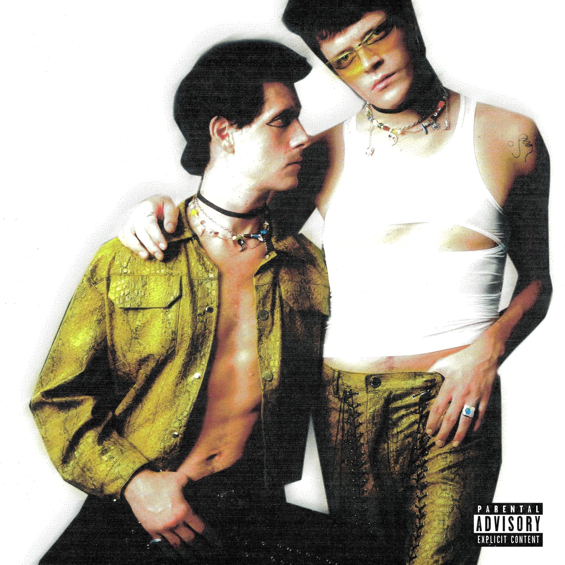 Album cover of The United Snakes of America