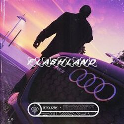 Cover of Flashland