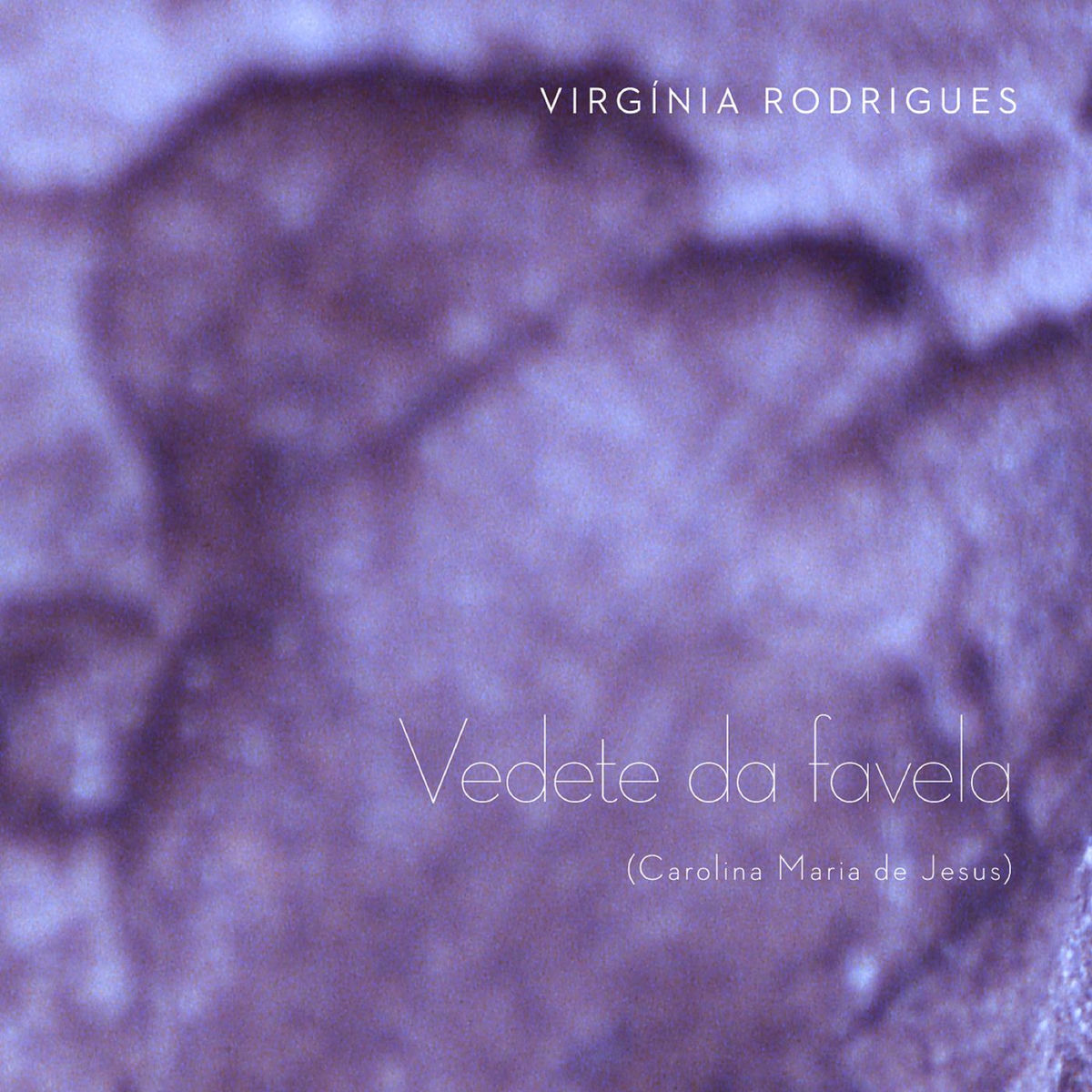 Album cover of Vedete da Favela