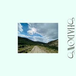 Cover of shadows