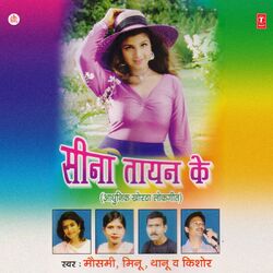 Cover of Seena Taayan Ke