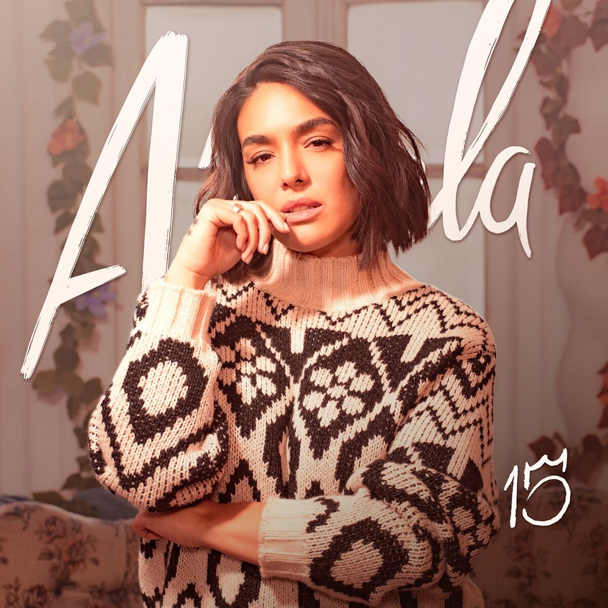 Album cover of 15 Años
