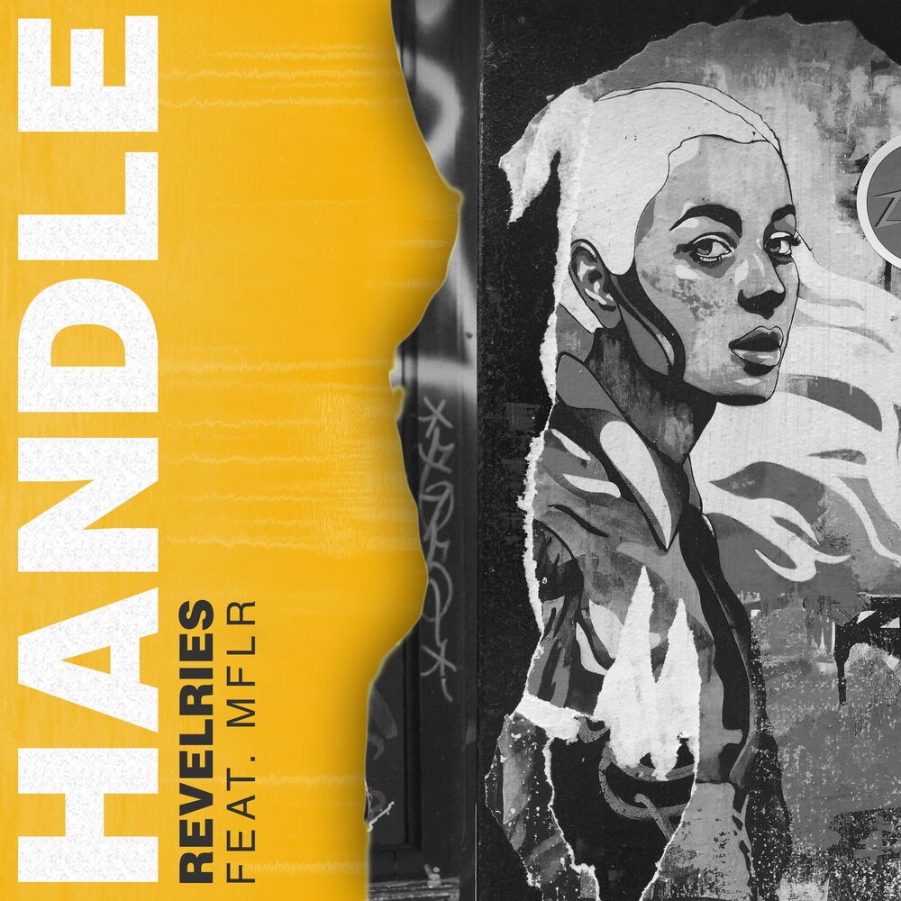 Picture of Handle