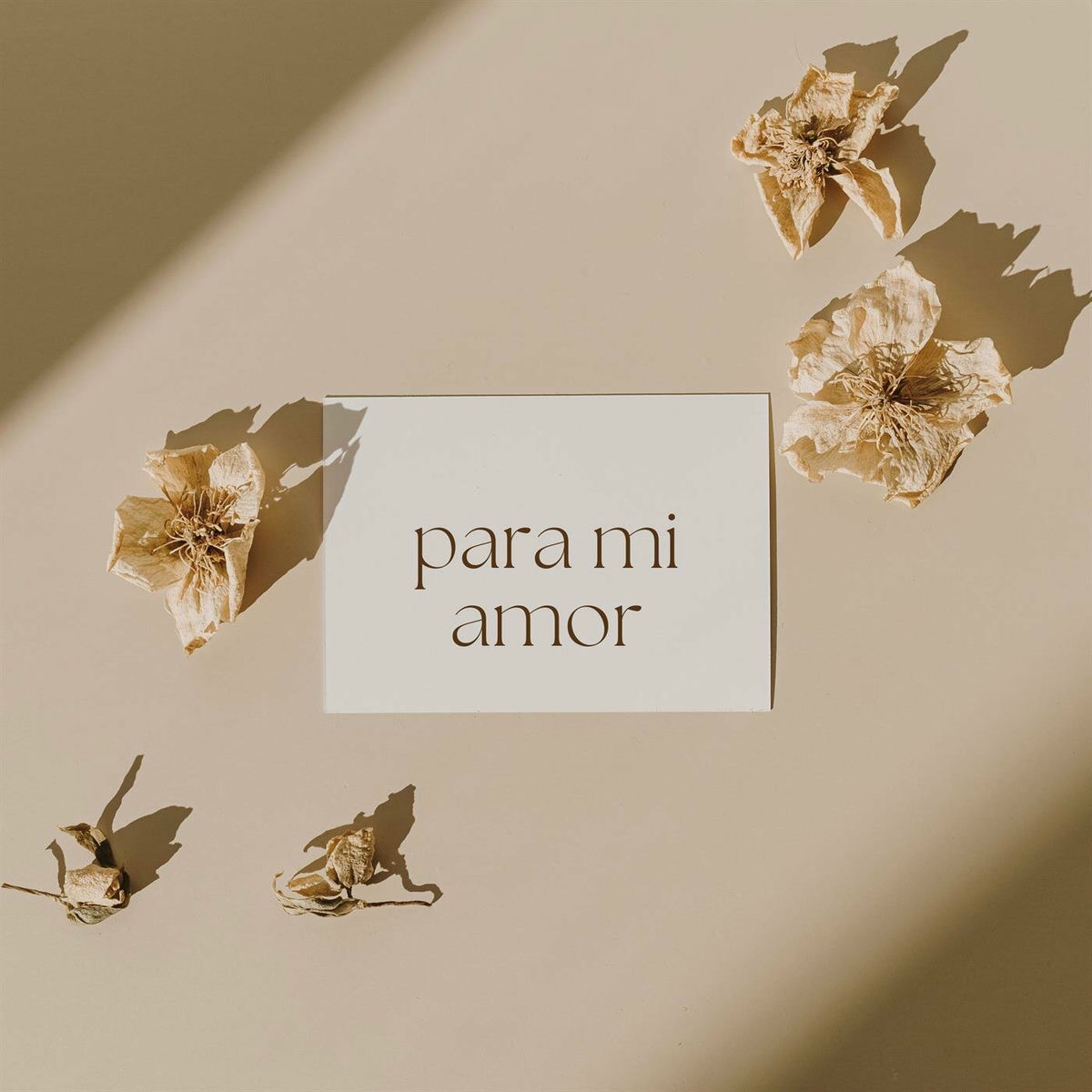 Album cover of Para mi amor