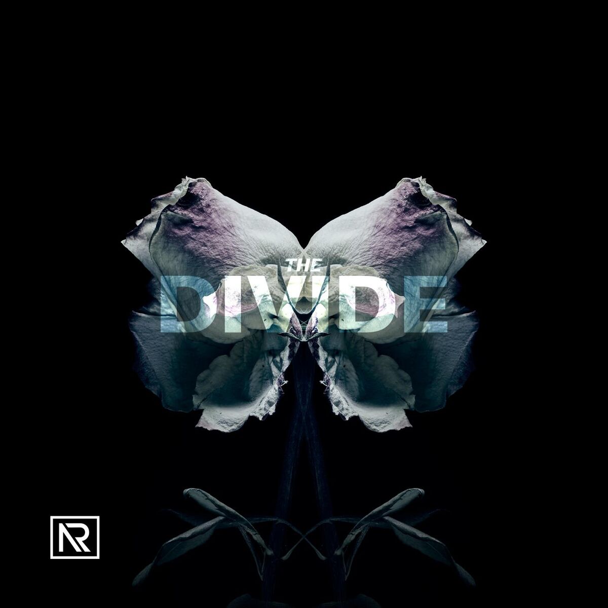 Album cover of The Divide
