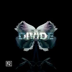 Cover of The Divide