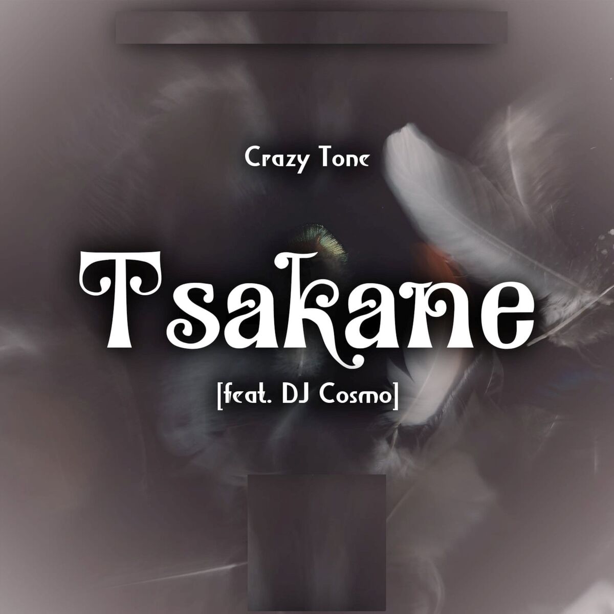 Album cover of Tsakane