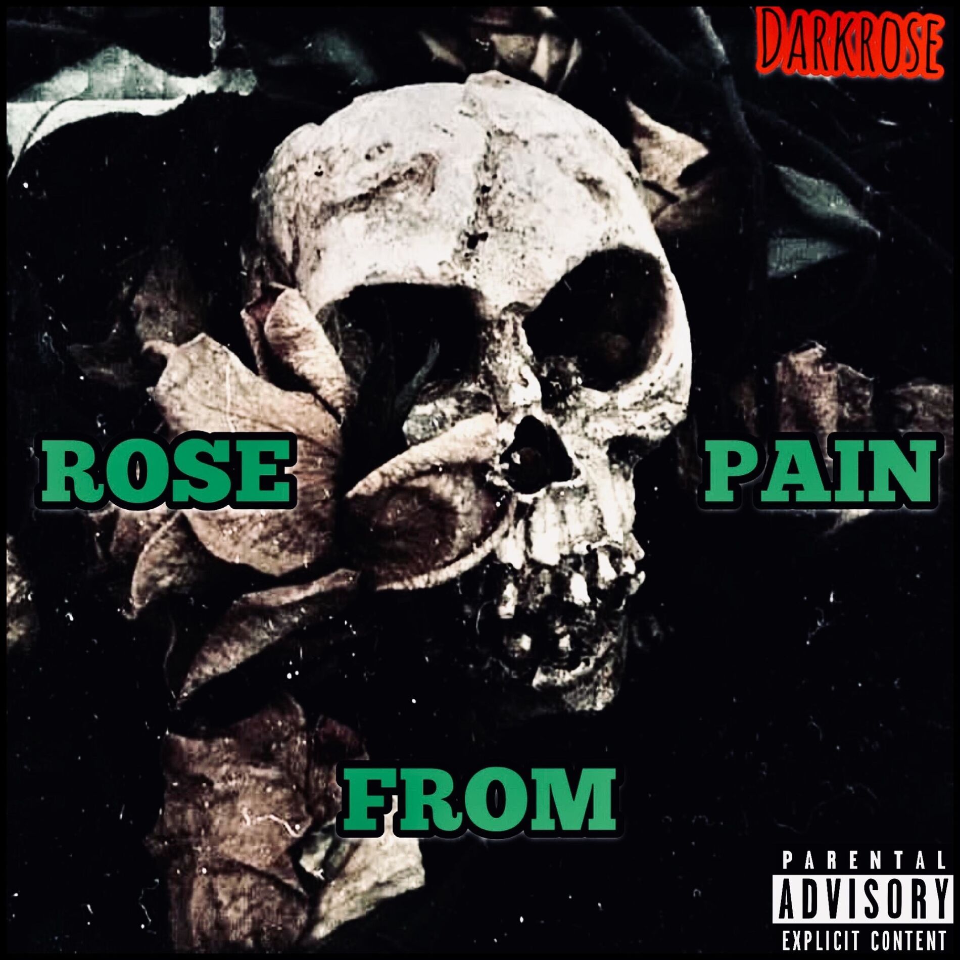 Album cover of Rose from Pain