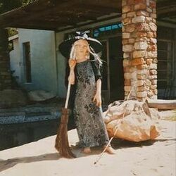 Cover of Witches