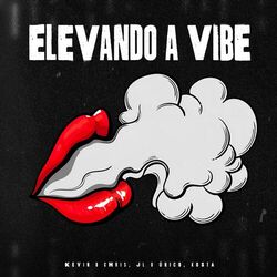 Cover of Elevando a Vibe