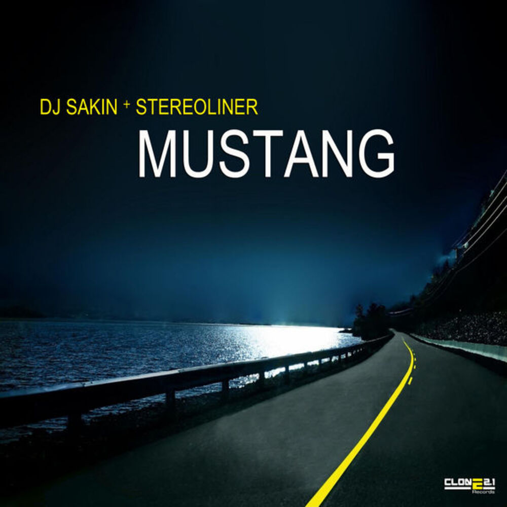 Picture of Mustang
