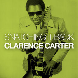 Cover of Snatching It Back