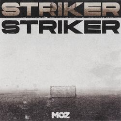 Cover of Striker