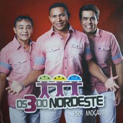 Cover of Pra Moçada