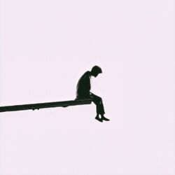 Cover of just for the night