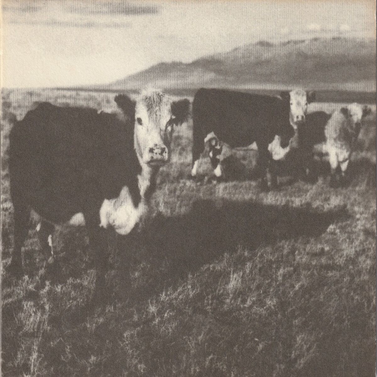 Album cover of The Finally Lp