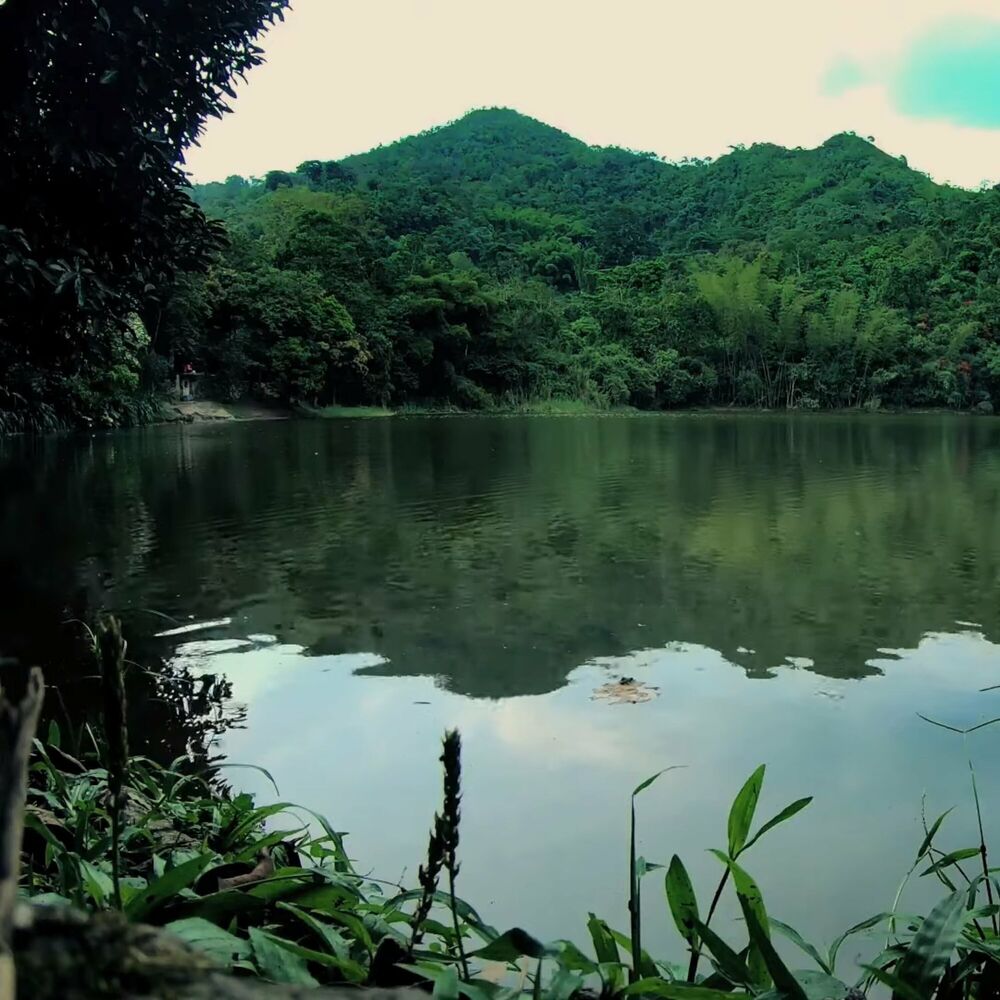 Picture of Sonido de Laguna el Tabacal la Vega