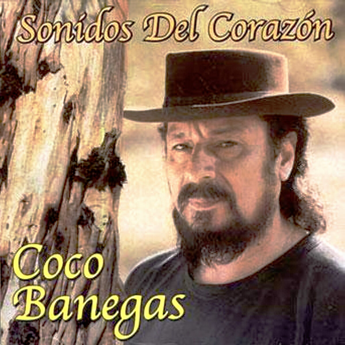 Album cover of Sonidos del Corazón
