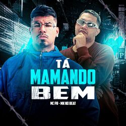 Cover of Tá Mamando Bem