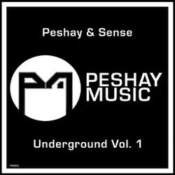 Cover of Underground, Vol.1