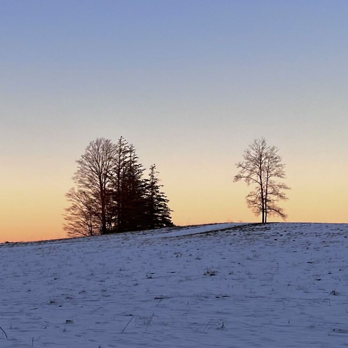 Album cover of the only light