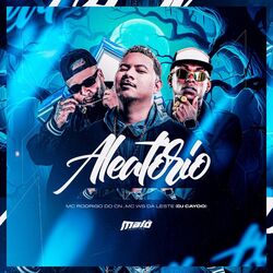 Cover of Aleatório