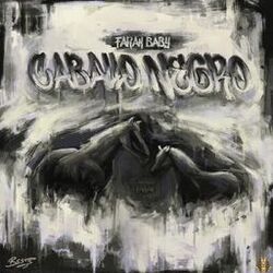 Cover of Caballo Negro