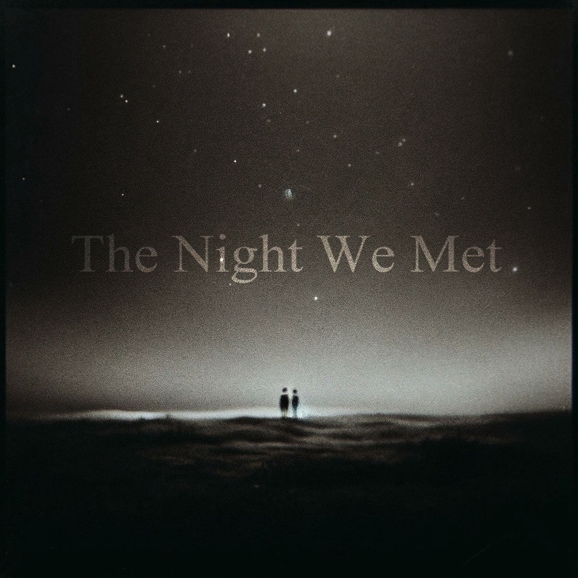 Album cover of The Night We Met (slowed + reverb)