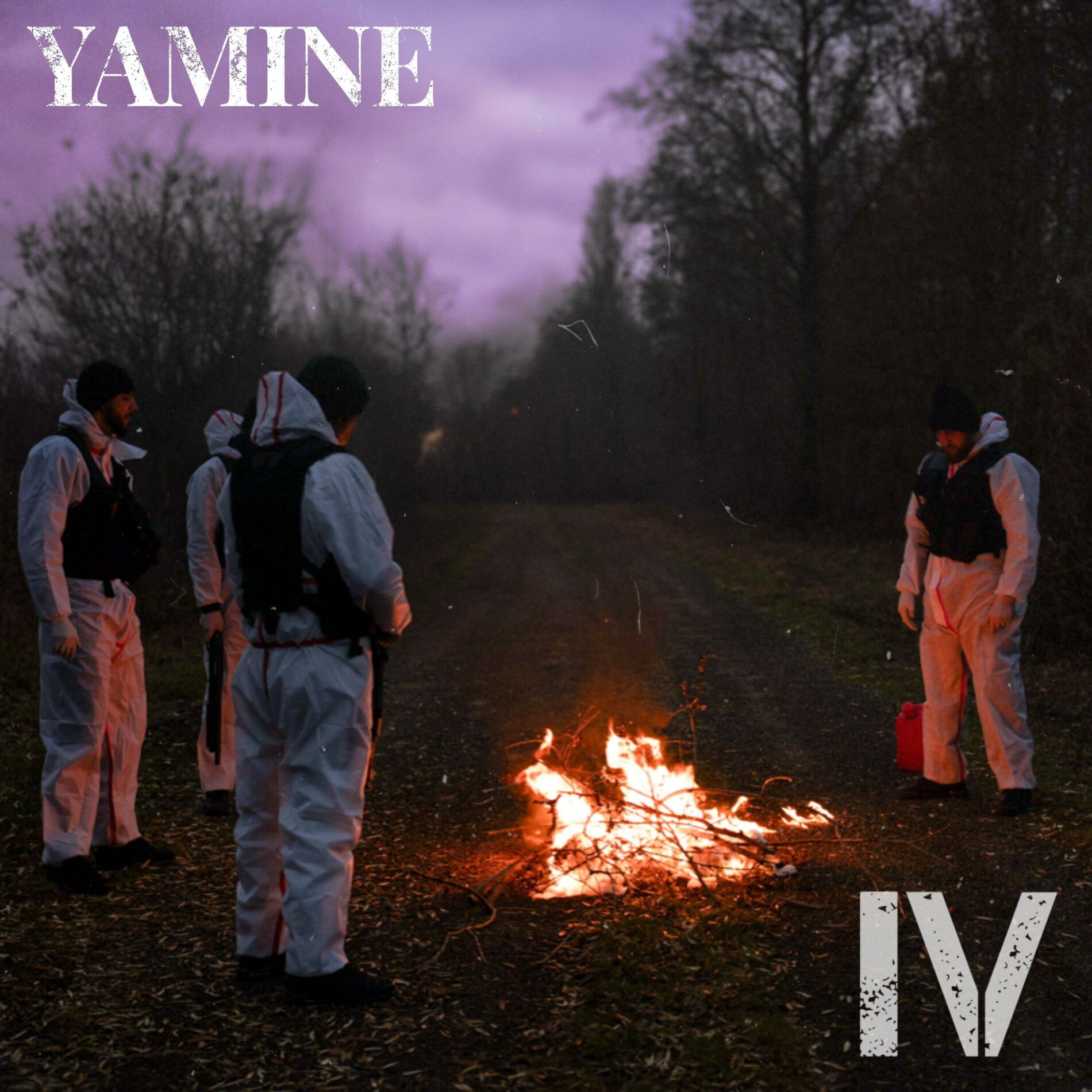 Album cover of IV