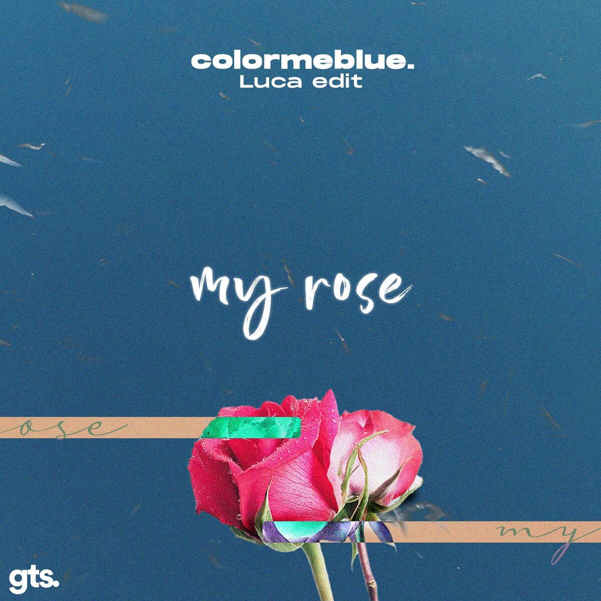 Album cover of my rose