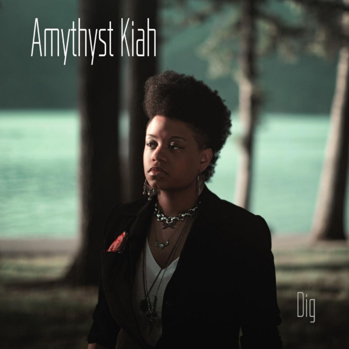 Album cover of Dig