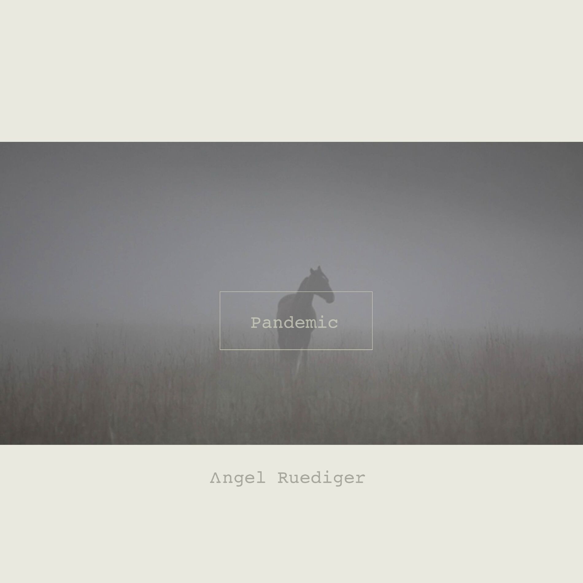 Album cover of Pandemic