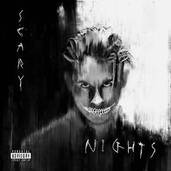 Cover of Scary Nights