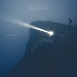Cover of Running Low