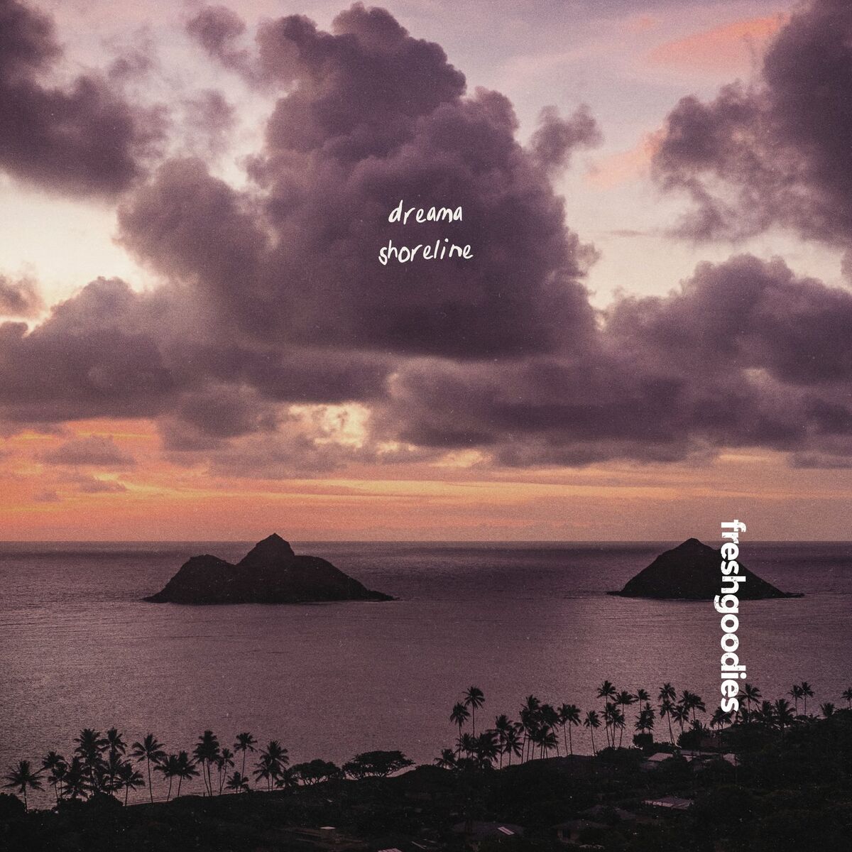 Album cover of Shoreline