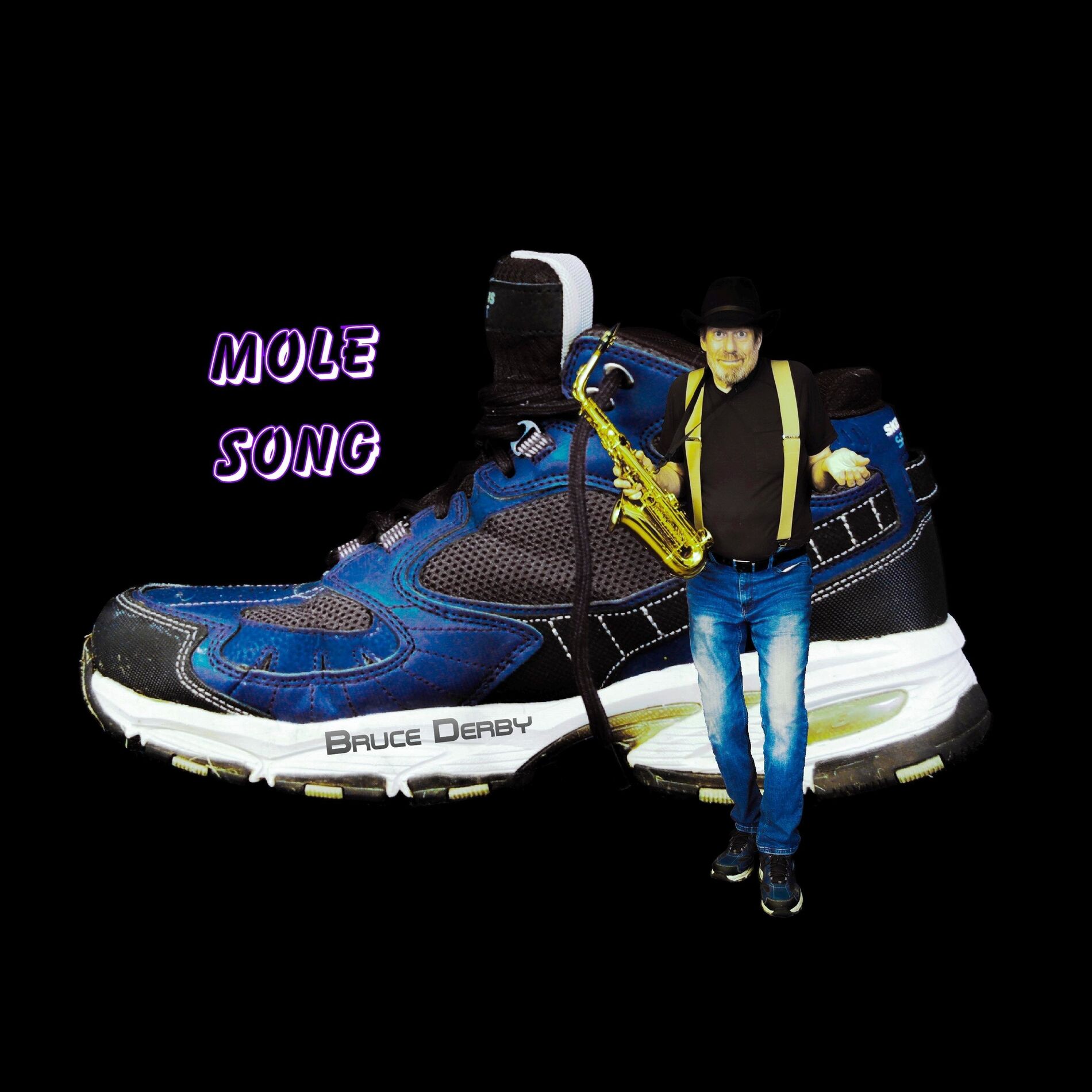 Album cover of Mole Song