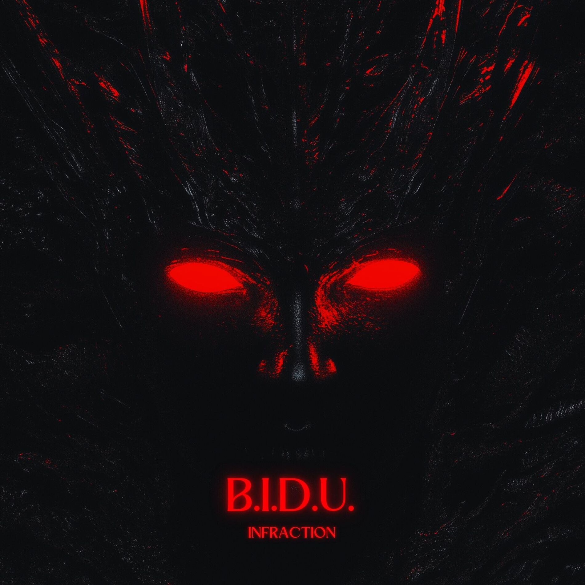 Album cover of B.I.D.U.