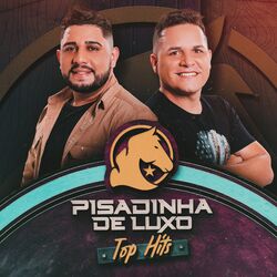 Cover of Top Hits