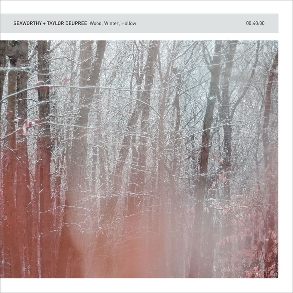 Picture of Wood, Winter, Hollow
