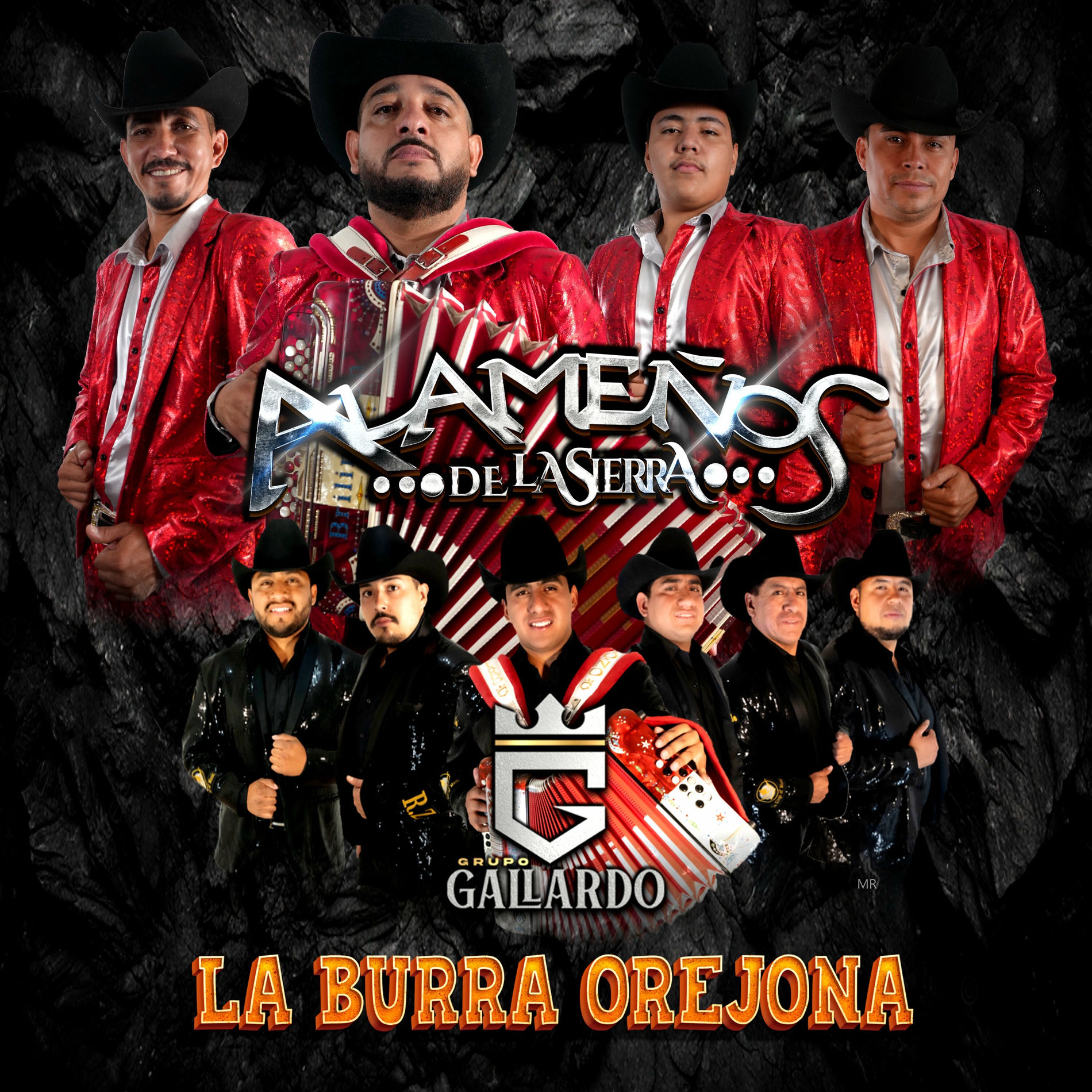 Album cover of La Burra Orejona