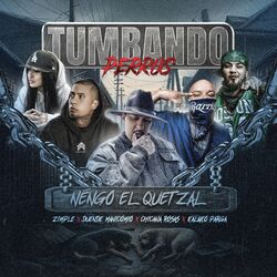 Cover of Tumbando Perros