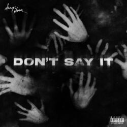 Cover of Don't Say It