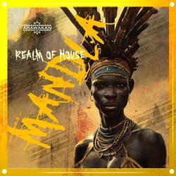 Cover of MANDLA (Arawakan Drum mix)