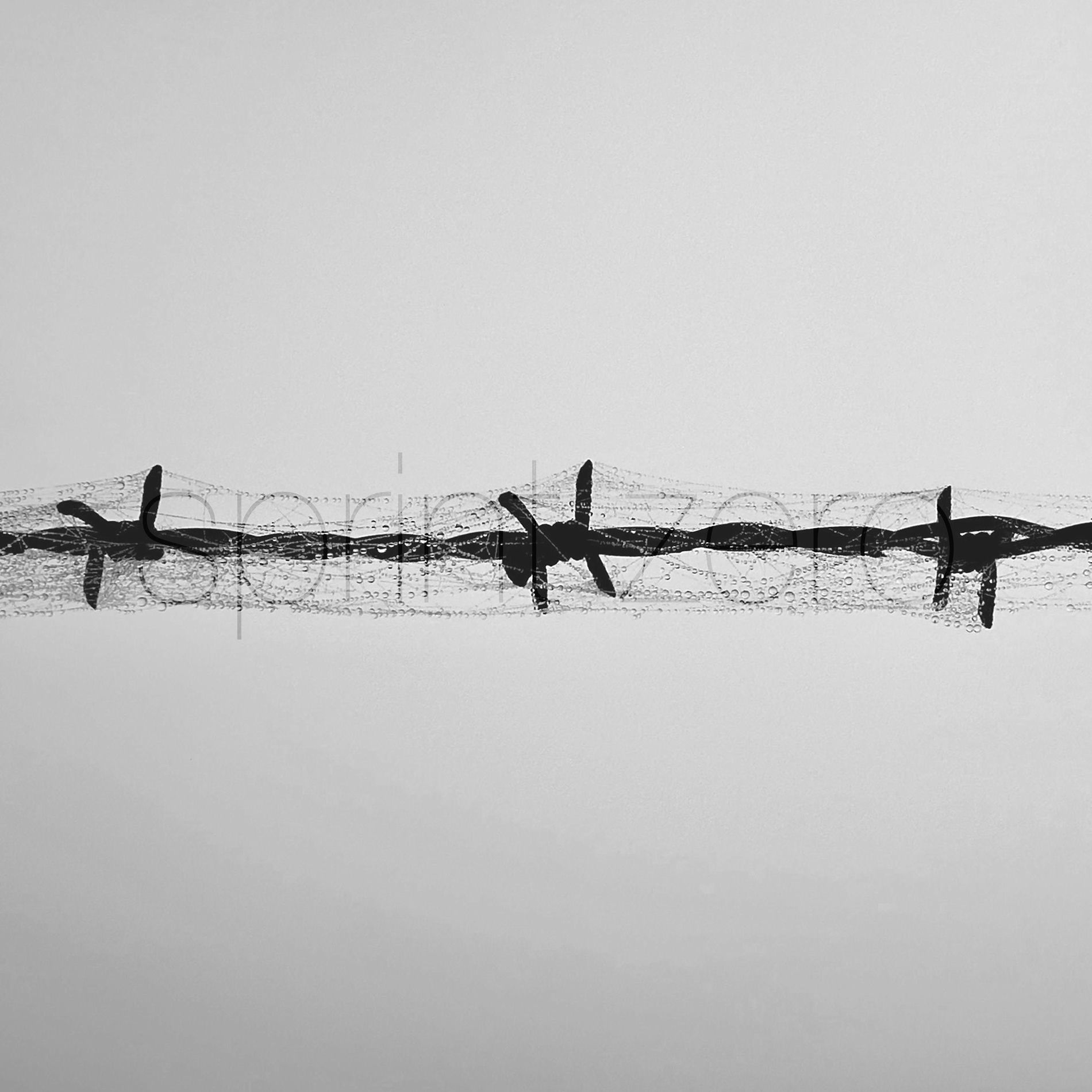 Album cover of Faith